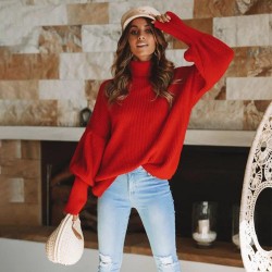 Women's Clothing - Fashion High Collar Lantern Sleeves Sweater